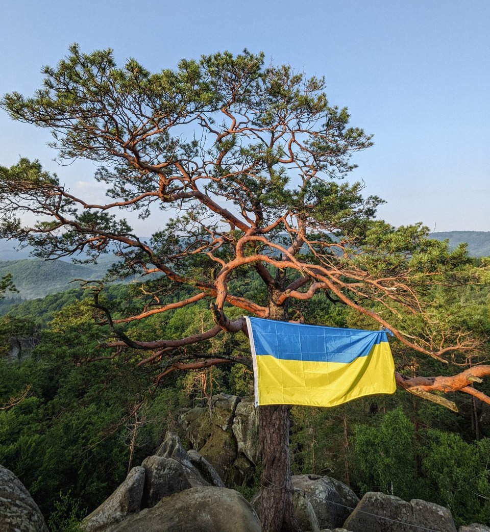 БО БФ ДЕРЕВО ЖИТТЯ